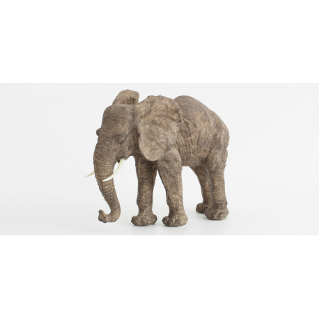 Elephant Arabela